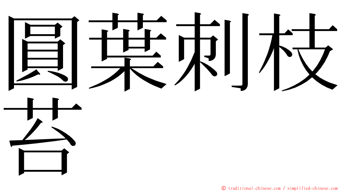 圓葉刺枝苔 ming font