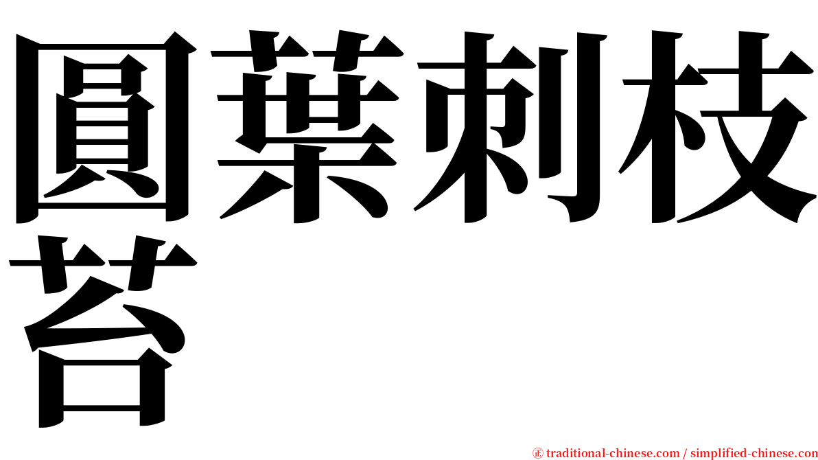 圓葉刺枝苔 serif font