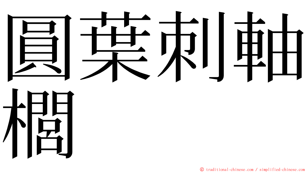 圓葉刺軸櫚 ming font