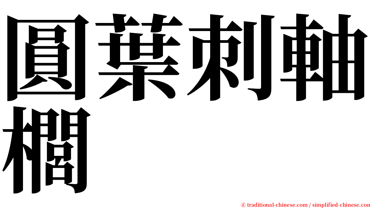 圓葉刺軸櫚 serif font