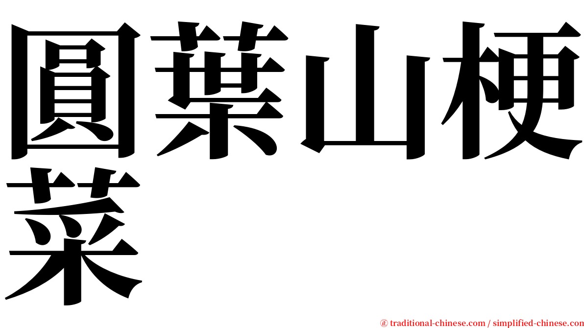 圓葉山梗菜 serif font