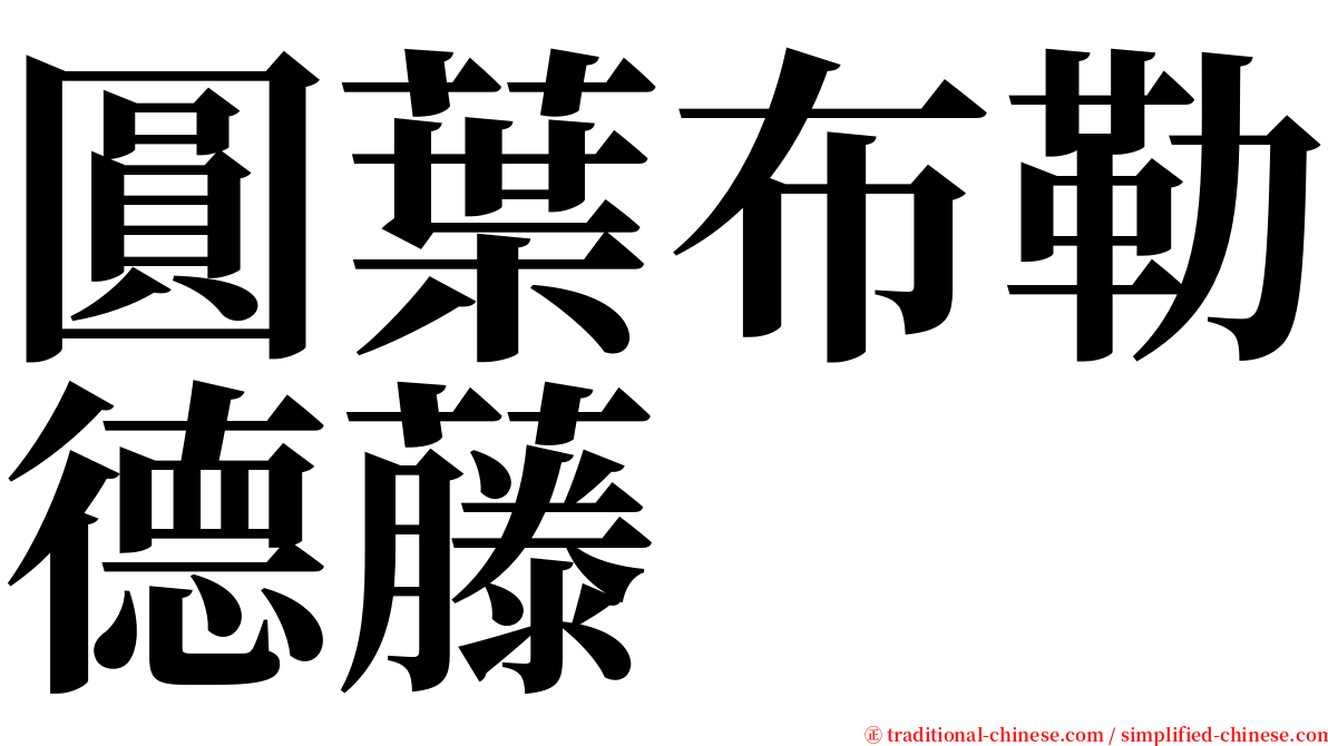 圓葉布勒德藤 serif font