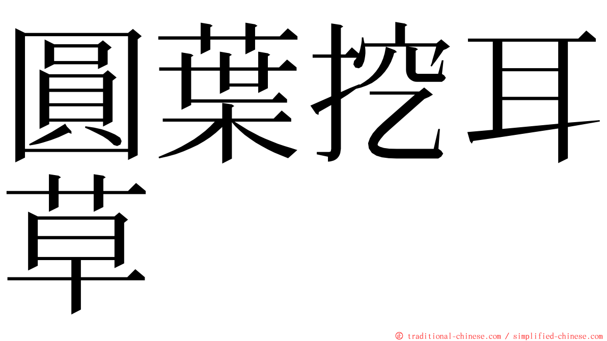 圓葉挖耳草 ming font