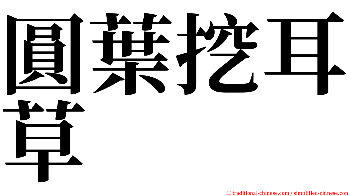 圓葉挖耳草 serif font