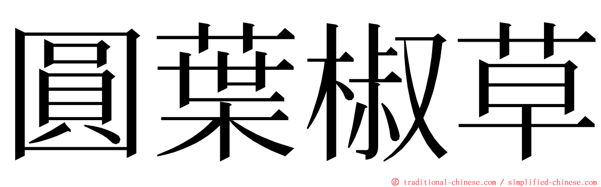 圓葉椒草 ming font