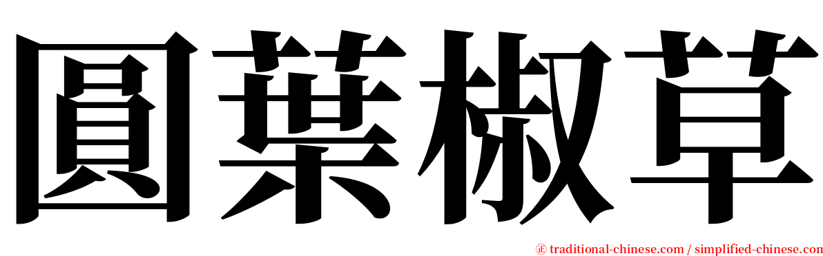 圓葉椒草 serif font