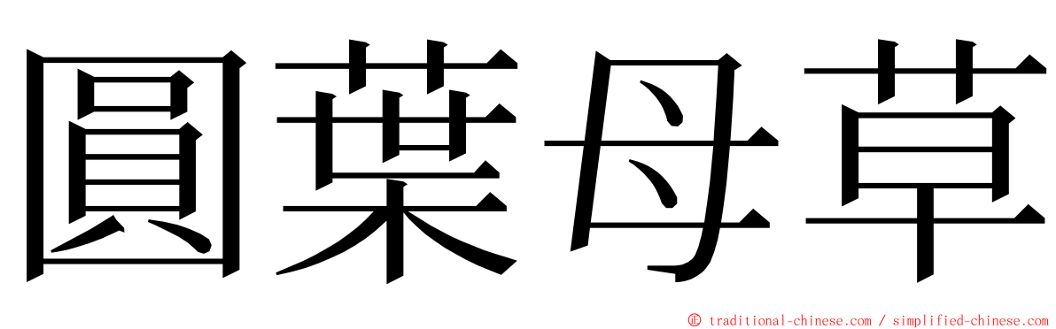 圓葉母草 ming font