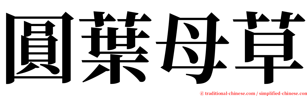 圓葉母草 serif font