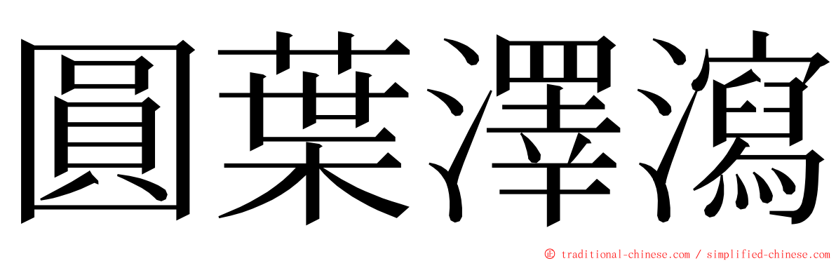 圓葉澤瀉 ming font