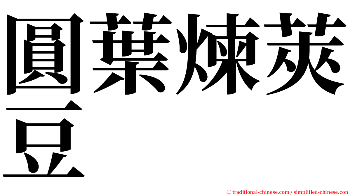 圓葉煉莢豆 serif font