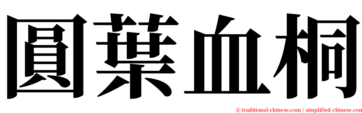 圓葉血桐 serif font