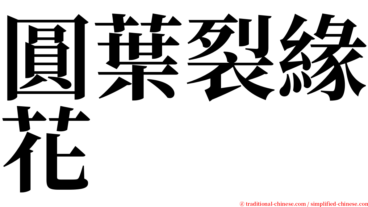 圓葉裂緣花 serif font