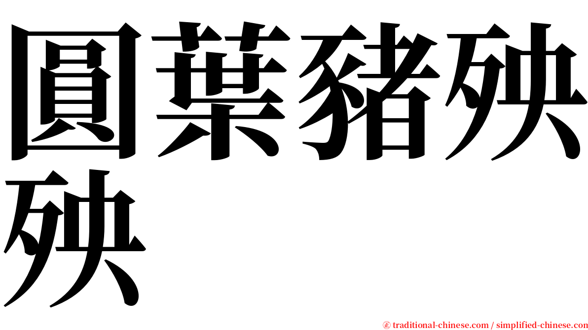 圓葉豬殃殃 serif font