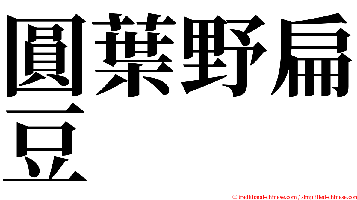 圓葉野扁豆 serif font