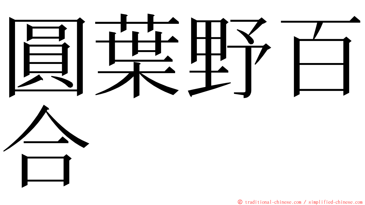 圓葉野百合 ming font