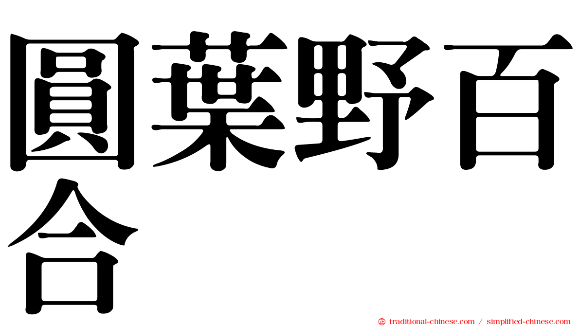 圓葉野百合