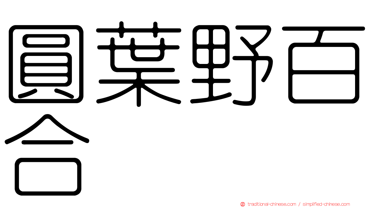 圓葉野百合