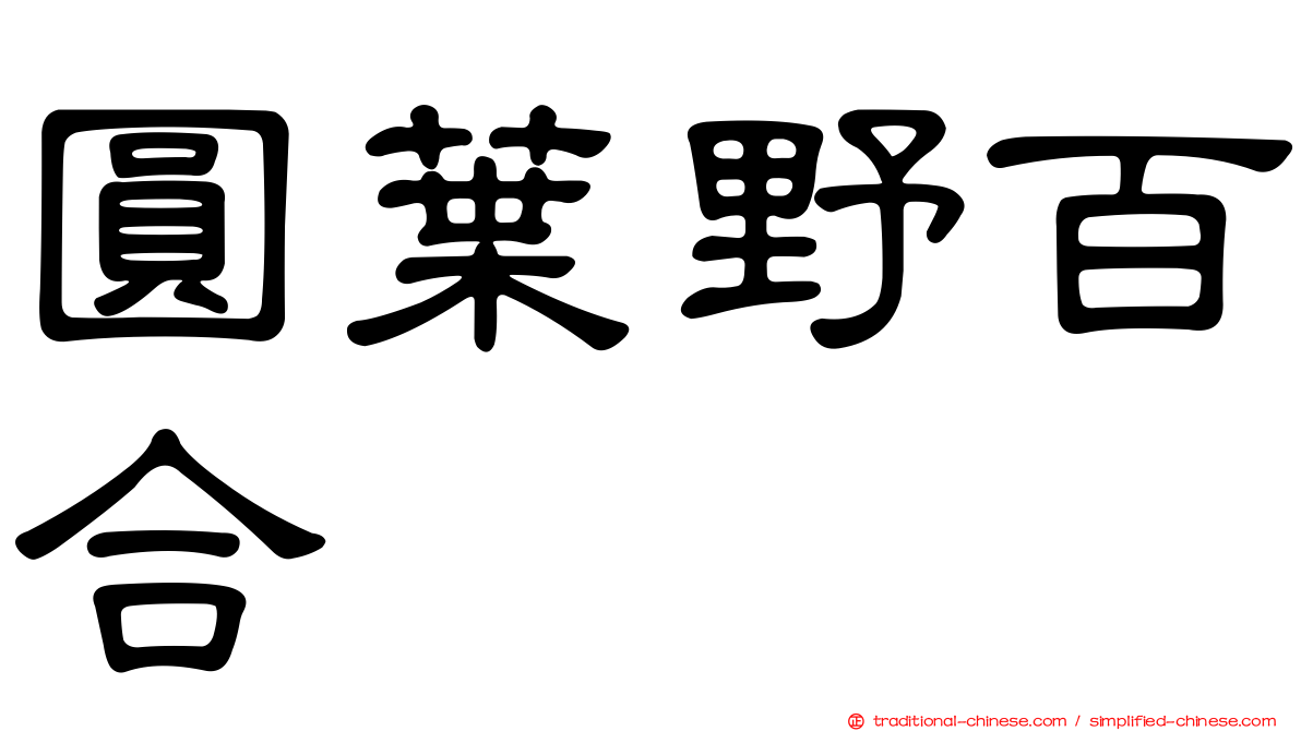 圓葉野百合