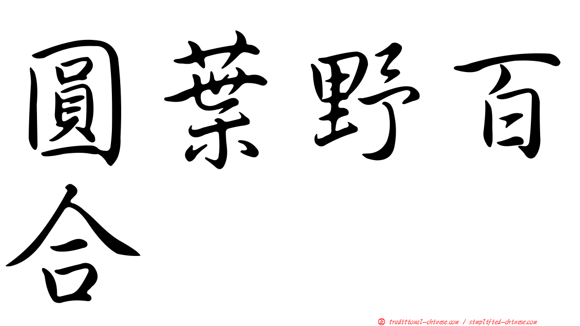 圓葉野百合