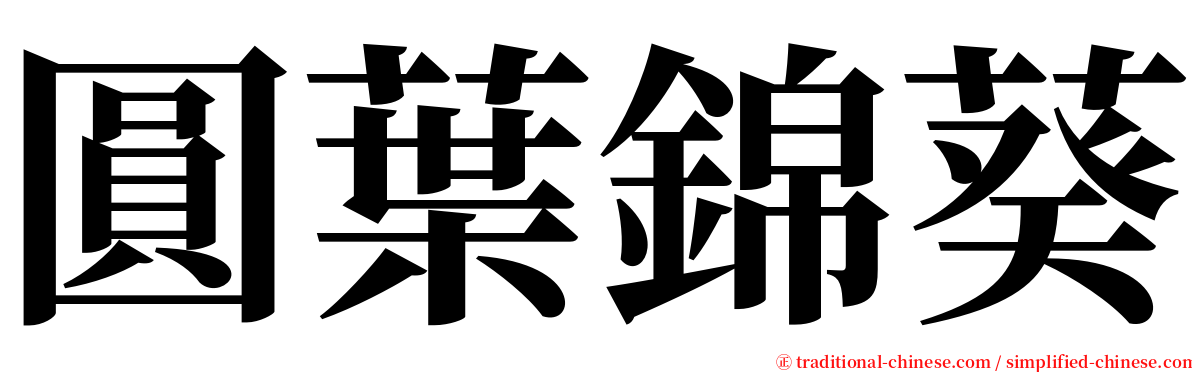 圓葉錦葵 serif font