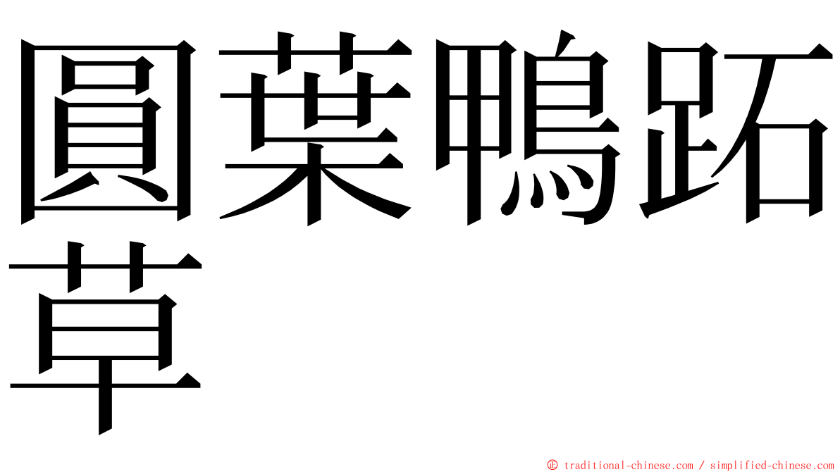 圓葉鴨跖草 ming font