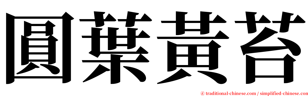 圓葉黃苔 serif font