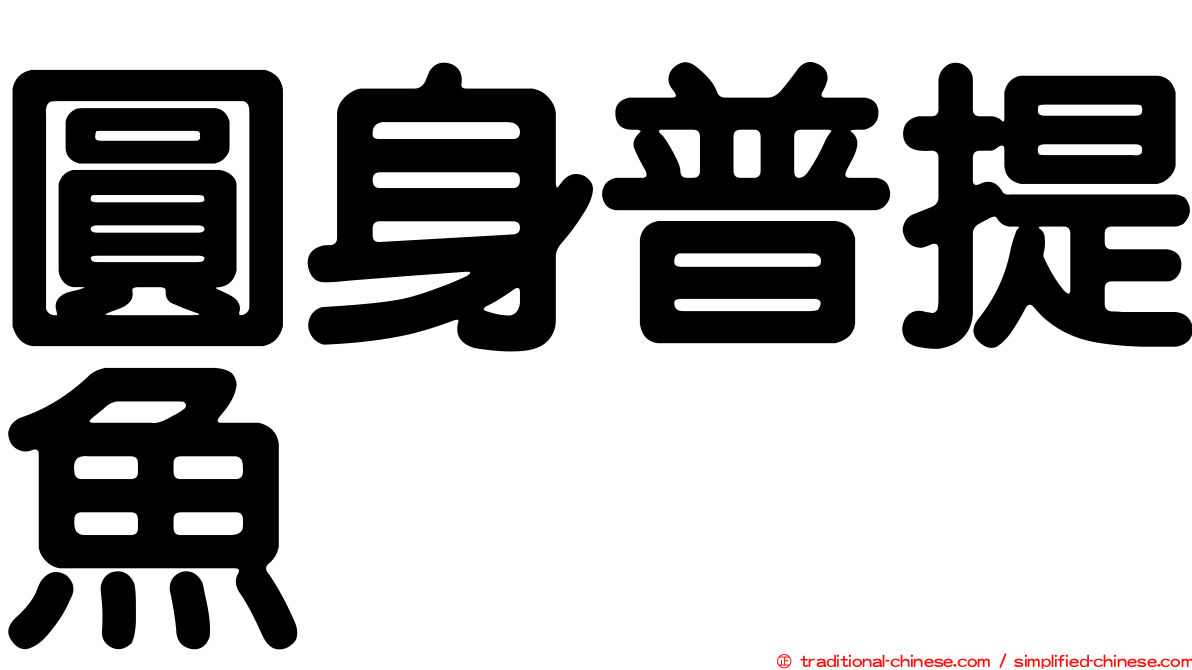 圓身普提魚