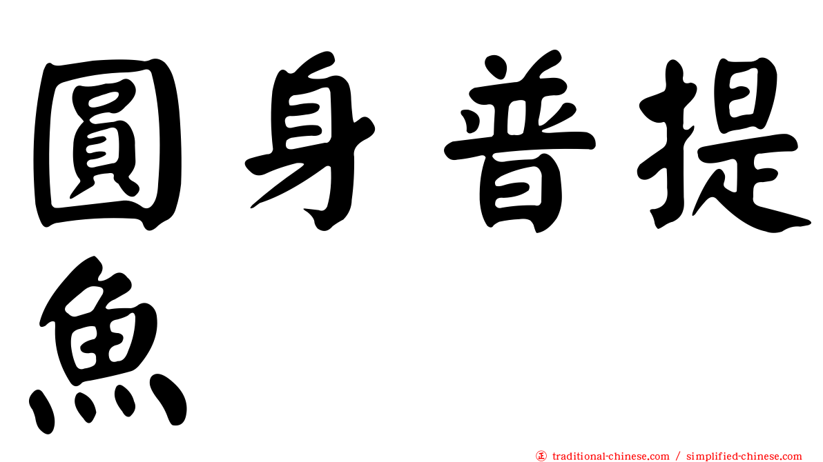 圓身普提魚