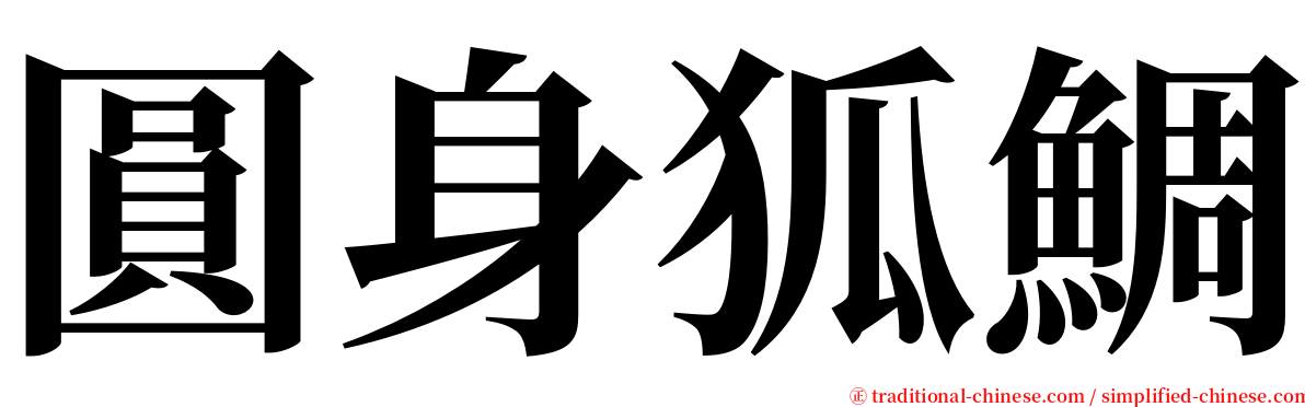 圓身狐鯛 serif font