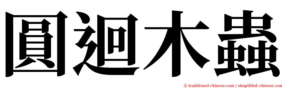 圓迴木蟲 serif font