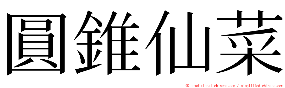 圓錐仙菜 ming font