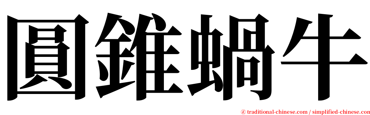 圓錐蝸牛 serif font