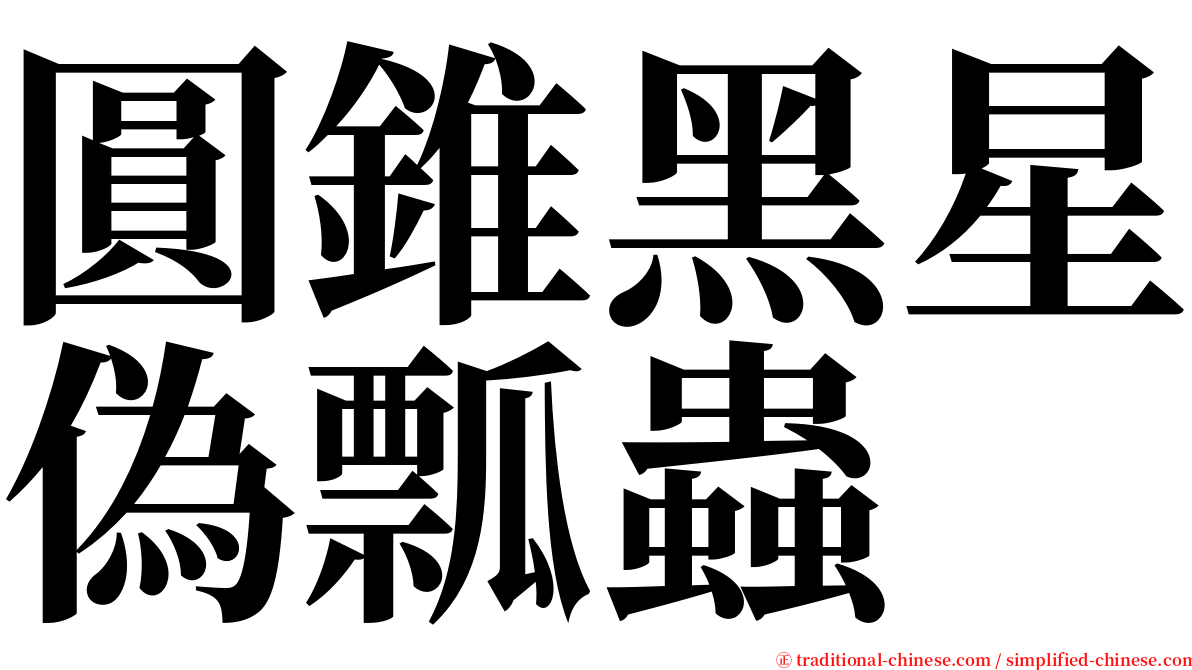 圓錐黑星偽瓢蟲 serif font