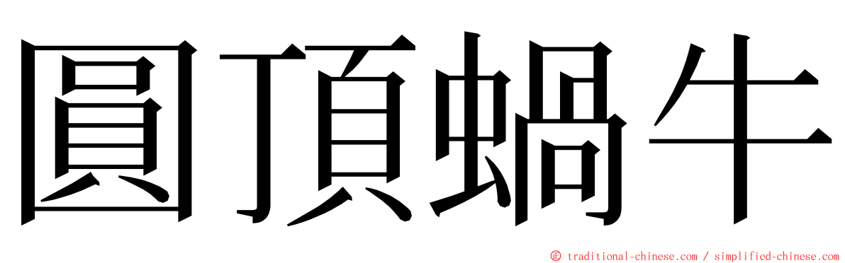 圓頂蝸牛 ming font