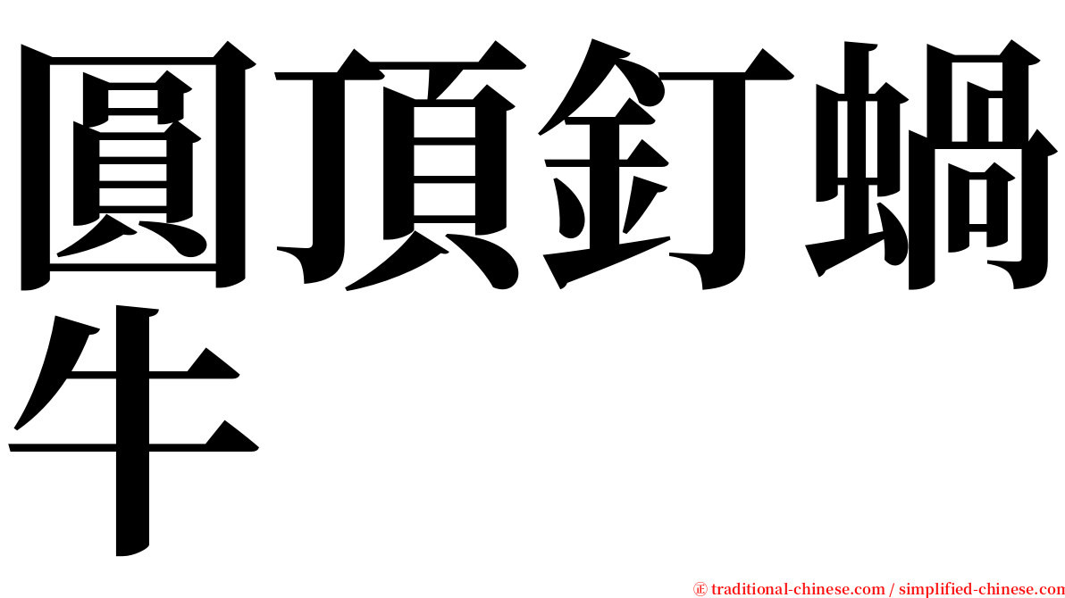 圓頂釘蝸牛 serif font