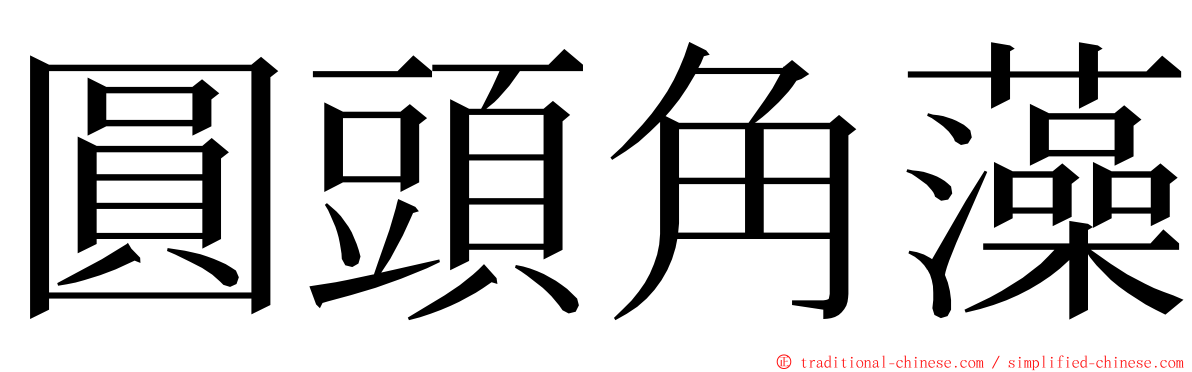 圓頭角藻 ming font