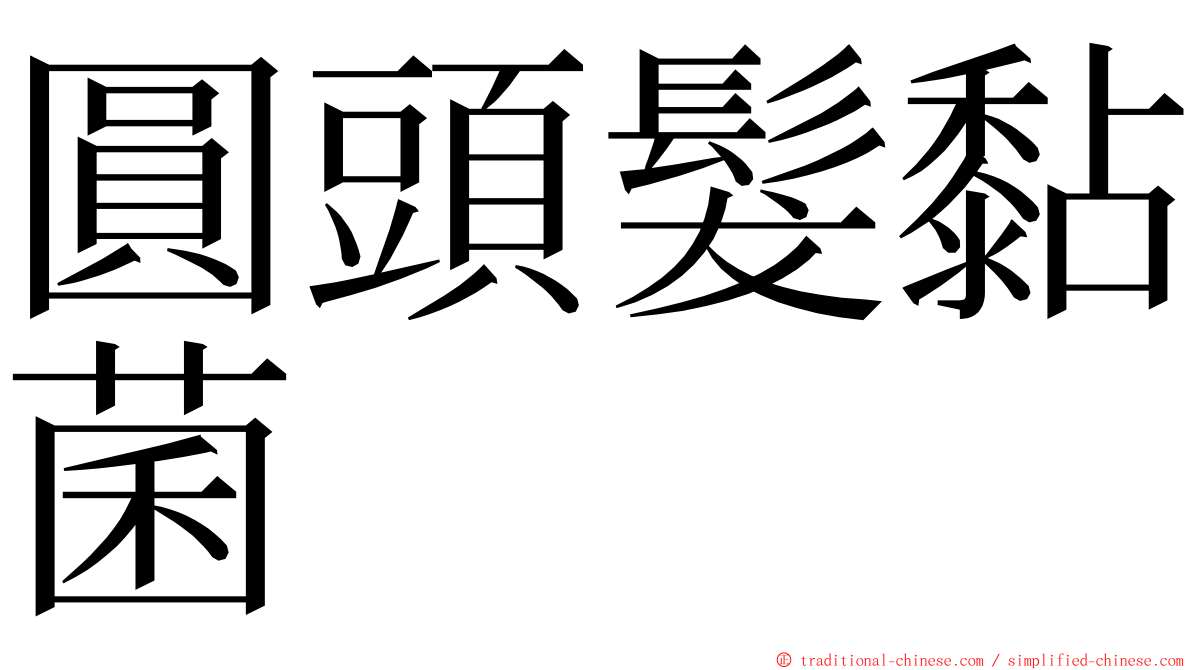 圓頭髮黏菌 ming font