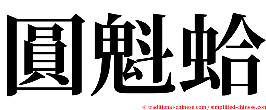圓魁蛤 serif font