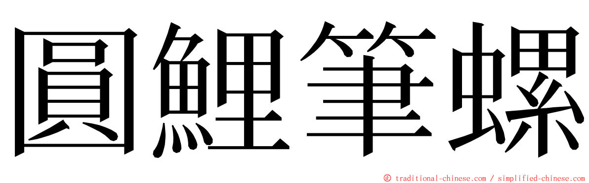 圓鯉筆螺 ming font