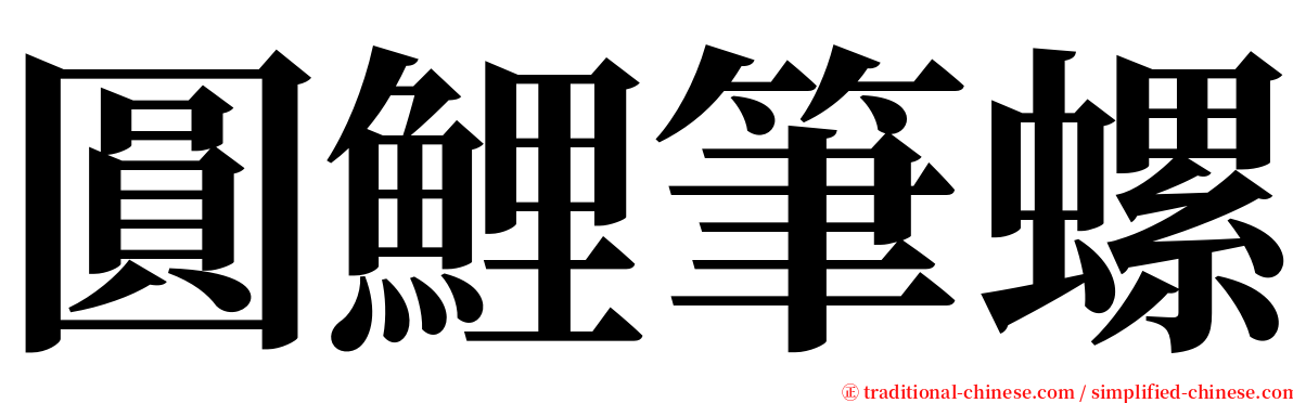 圓鯉筆螺 serif font