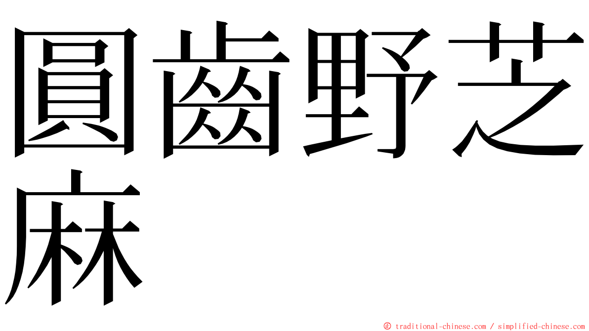 圓齒野芝麻 ming font