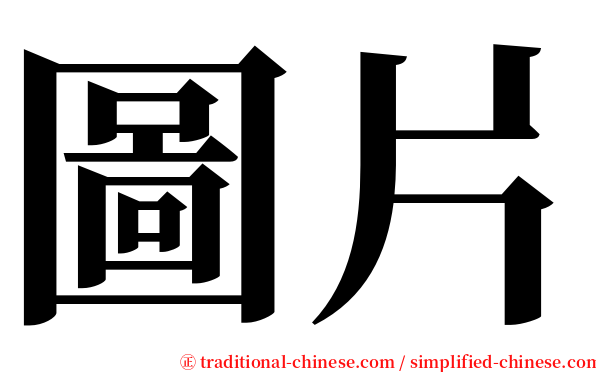 圖片 serif font
