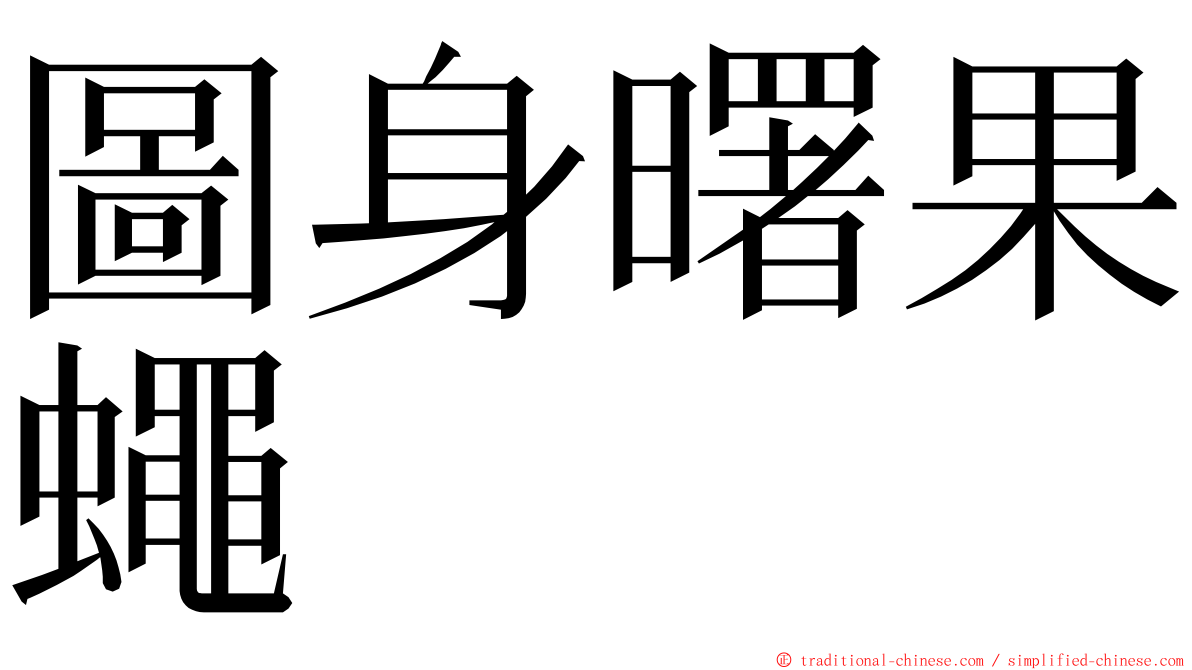 圖身曙果蠅 ming font