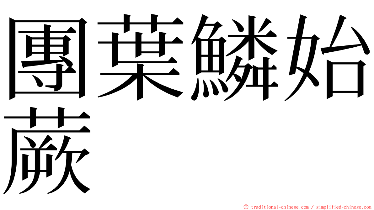 團葉鱗始蕨 ming font