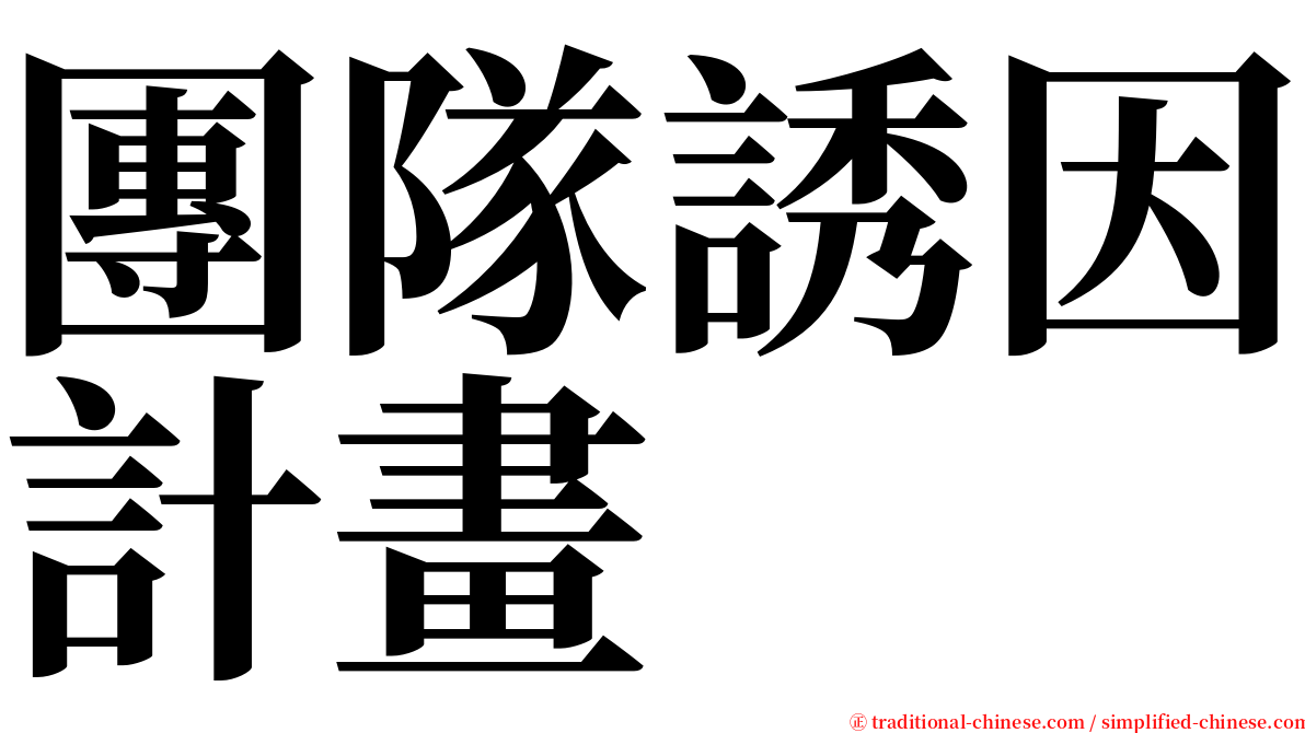 團隊誘因計畫 serif font