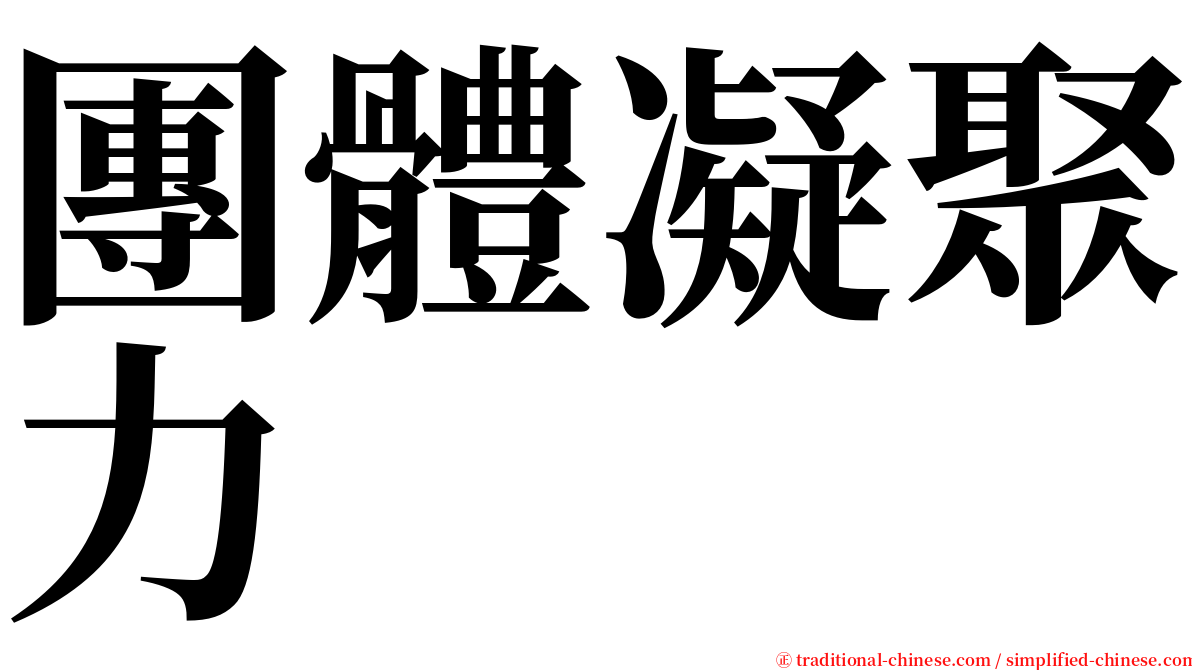 團體凝聚力 serif font