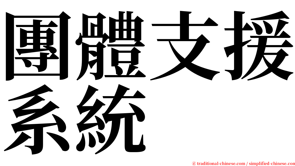 團體支援系統 serif font