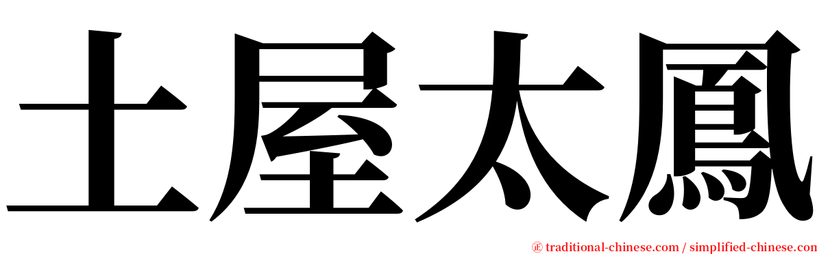 土屋太鳳 serif font