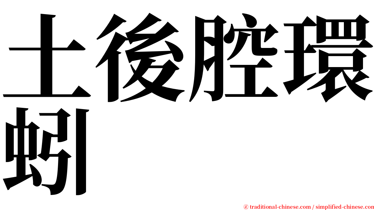 土後腔環蚓 serif font