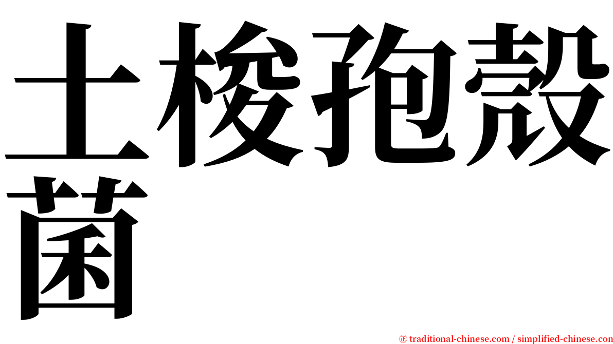 土梭孢殼菌 serif font